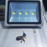 Proyector LED COB 200 watt IP65 Luz Fria (1.800w) photo review
