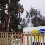 Campana LED UFO Antiexplosivo 200 watt 150lm/w IP66 Fría o Cálida Garantía 3 años (3.000w) photo review